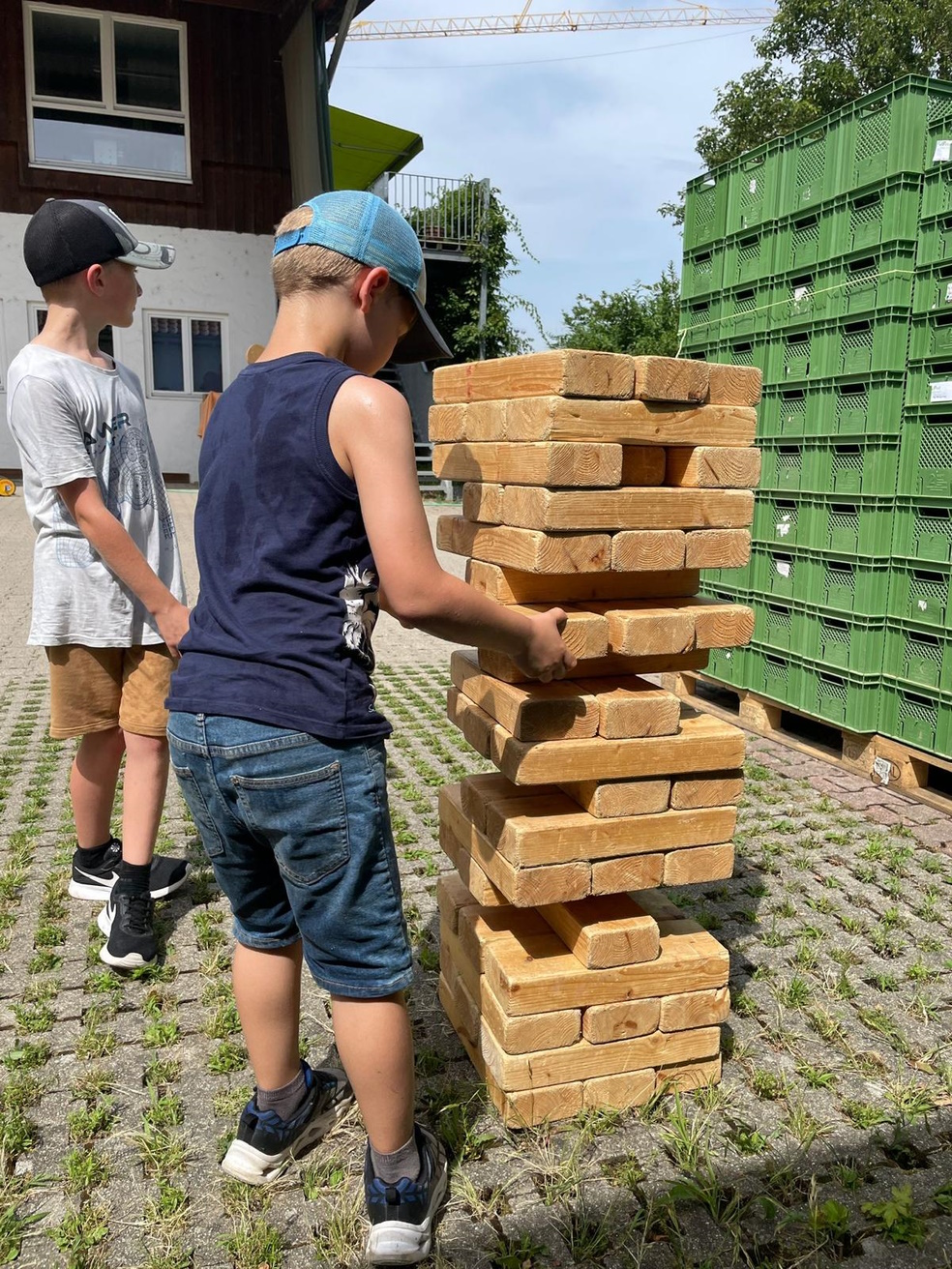 Wino Bio deine Biokiste Sommertag 2024